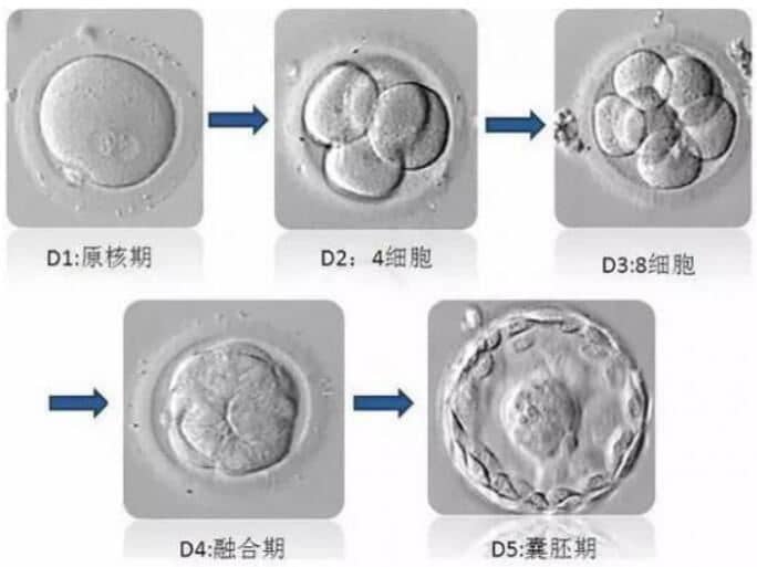 着床成功的症状表现