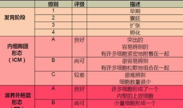 着床成功的症状表现