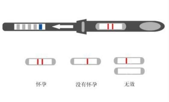 验孕棒的使用方式