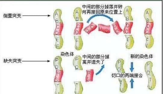 着床成功的症状表现